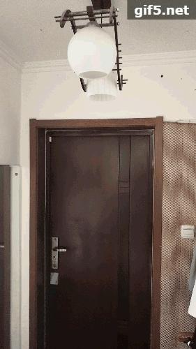 aqara鏅鸿兘瀹跺眳鍔熻兘灞曠ず,鑳借璇濈殑鏅鸿兘瀹跺眳