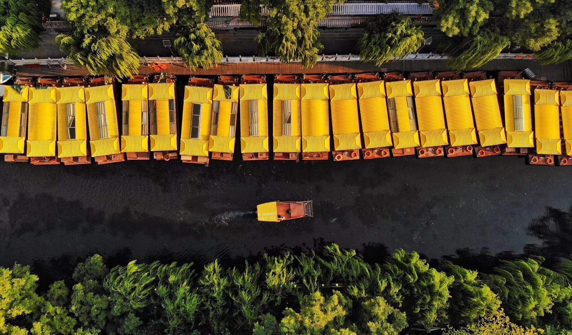 夜游济南护城河游玩攻略,济南坐船游护城河晚上还是白天好