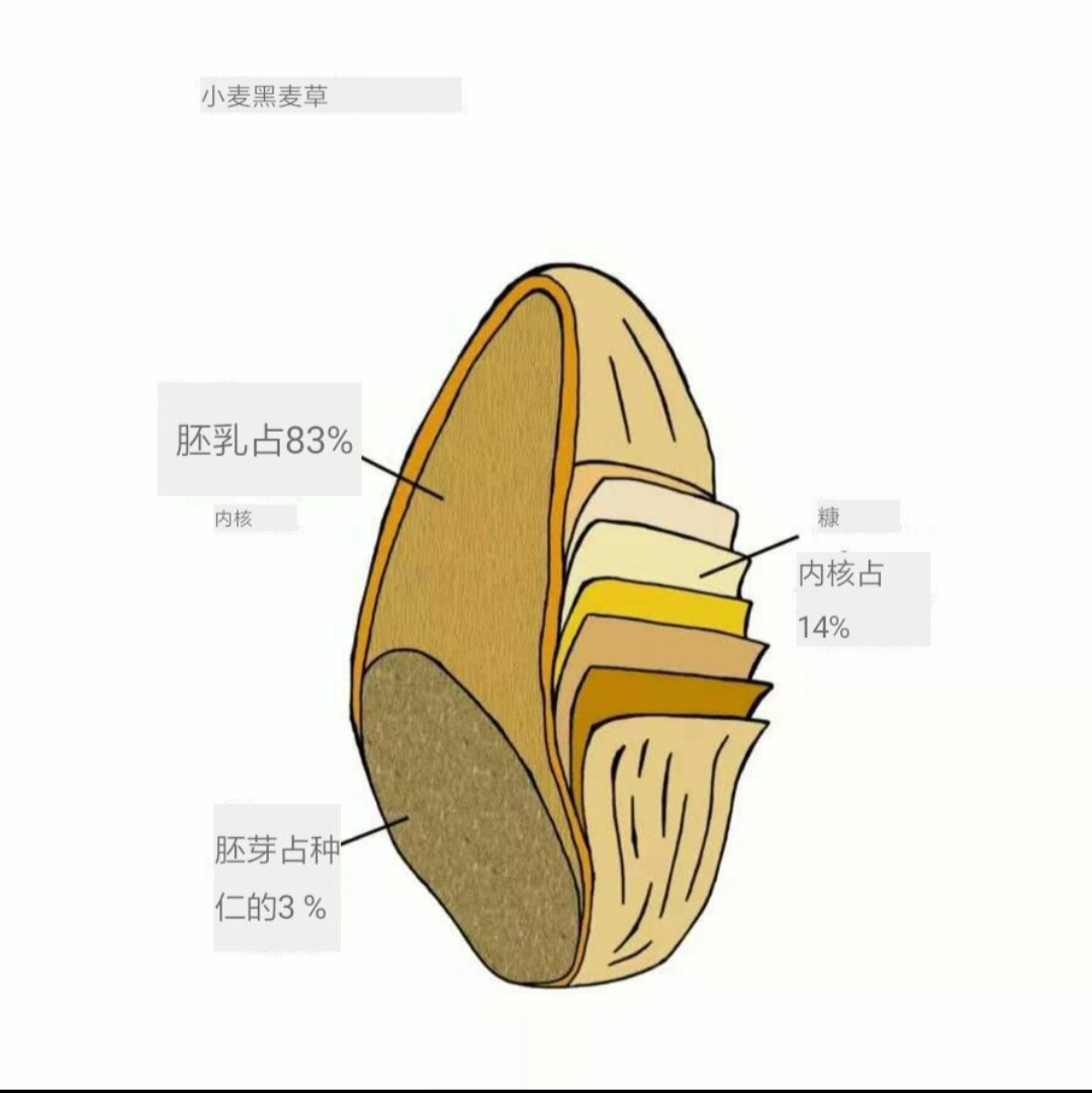 面粉的分类及适用范围,面粉的传统和现代分类方法及特点
