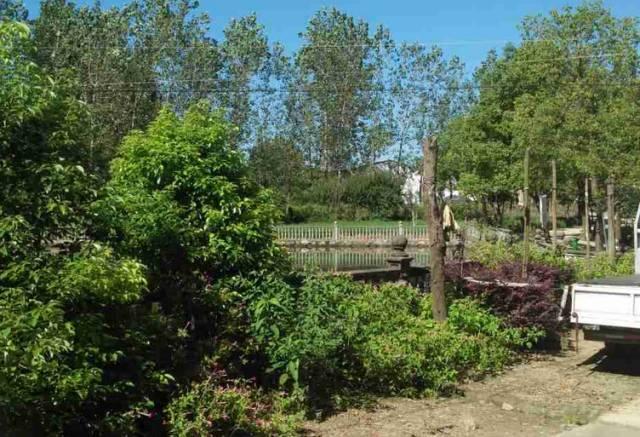 山区农民怎么走上致富路,山区有什么致富项目