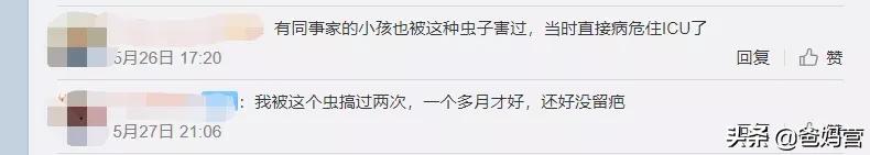 妈妈一拍小孩差点毁容,妈妈拍到孩子的恐怖画面