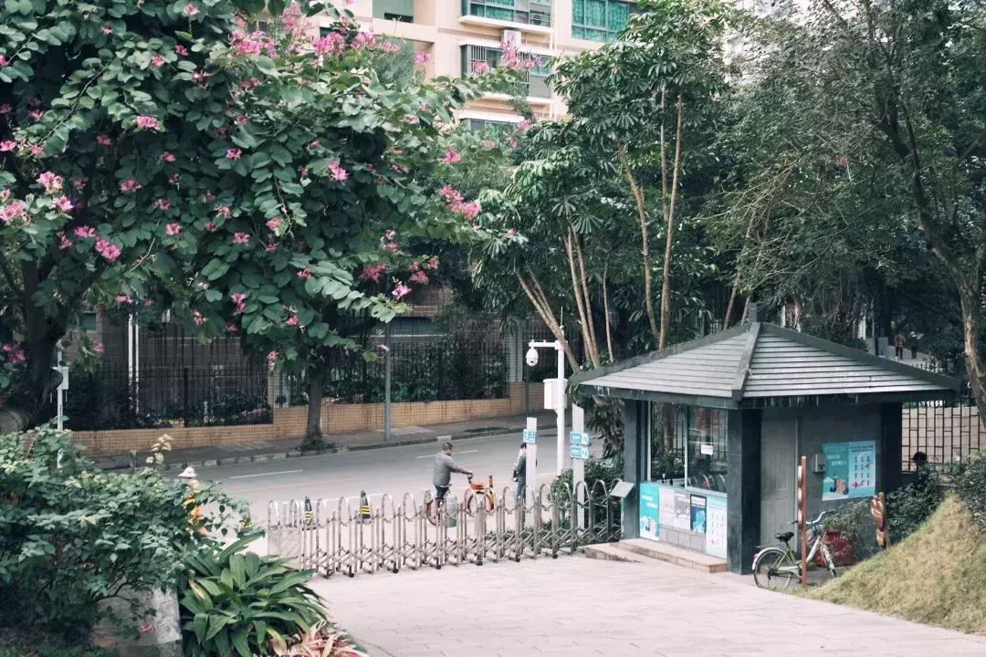 在福田区下梅林生活体验好吗,下梅林晚上适合去的地方