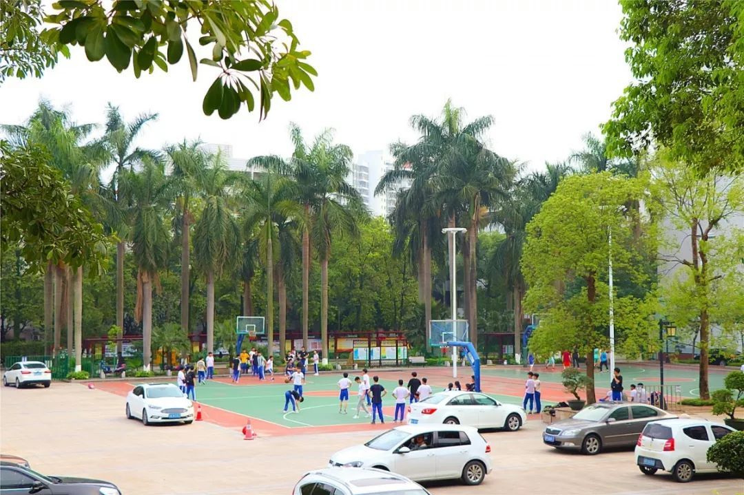 清远学校小吃,清远在哪学美食