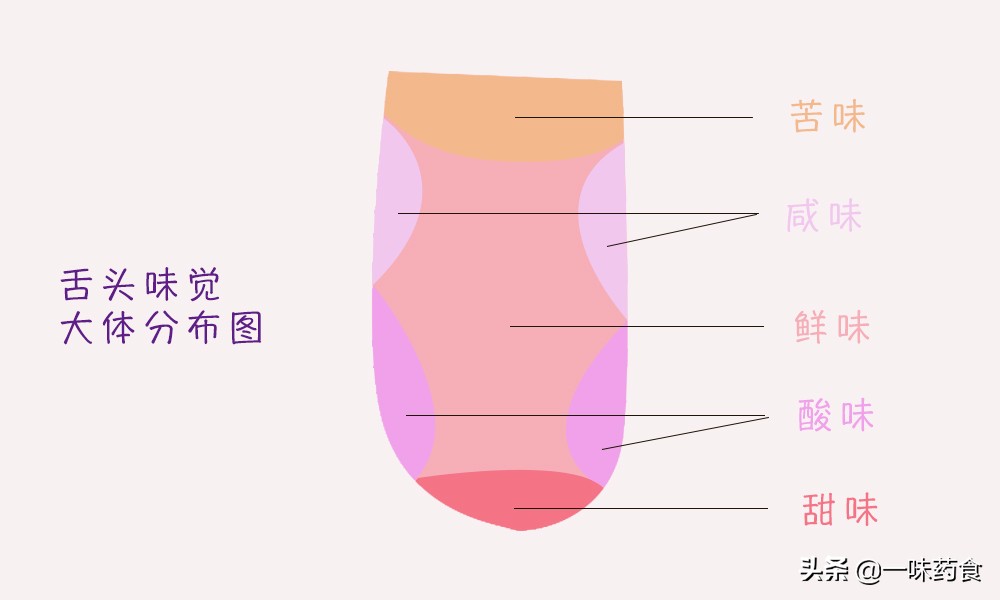 甘味和甜味有什么区别,甘味就是甜味吗