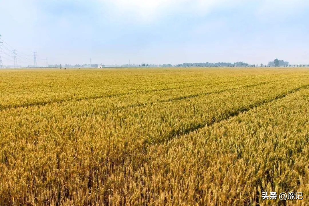 新乡是一个地方吗,新乡原来是乡么