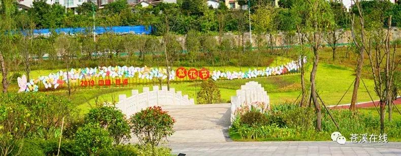 苍溪湿地公园有什么,苍溪最新湿地公园