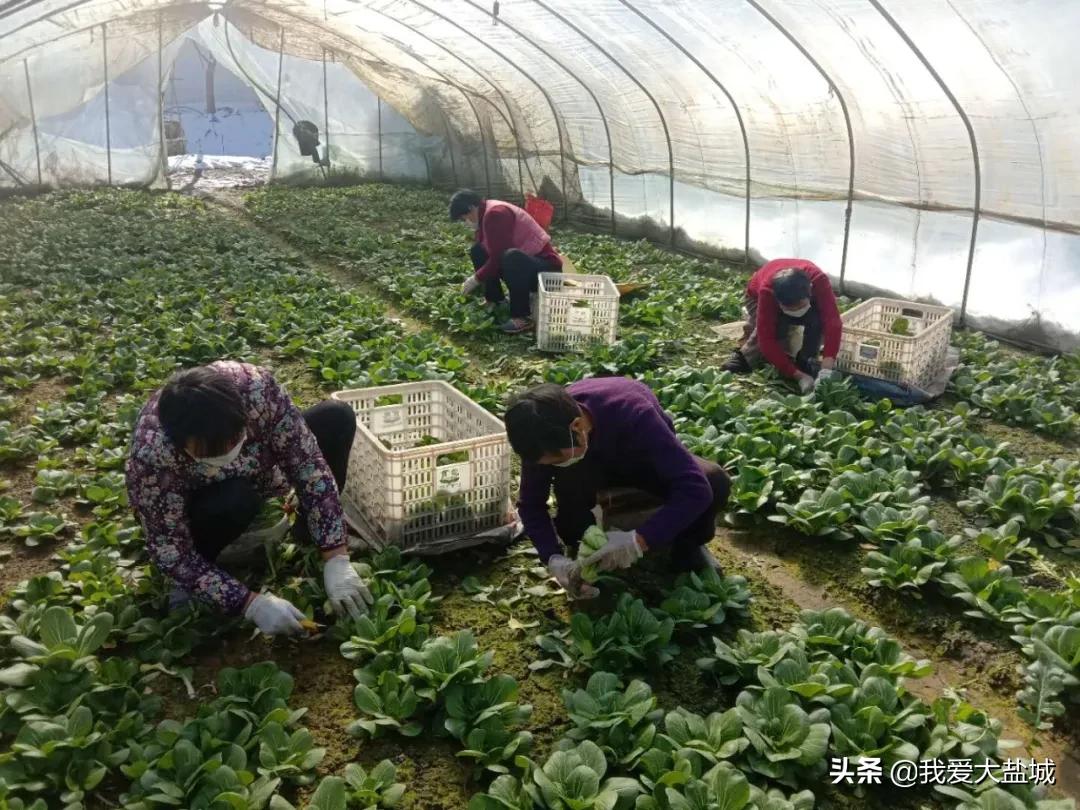 给力！众部门打通“绿色通道”，助销万斤“土货”