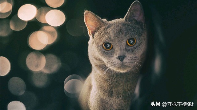 关于防毒面具的发明故事,细思极恐的发明防毒面具