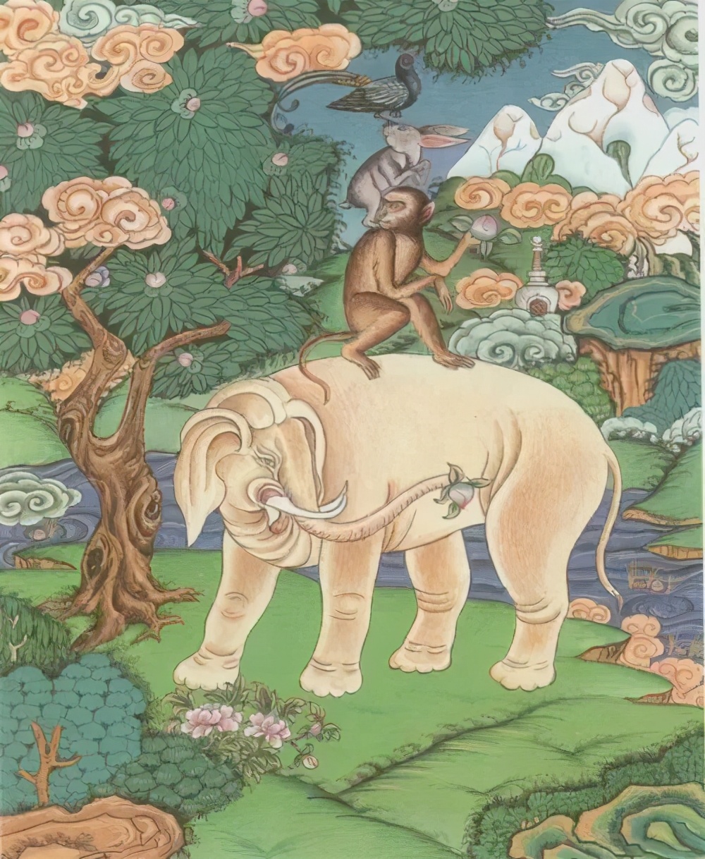 避孕套的背后故事,可能比你想的更不简单