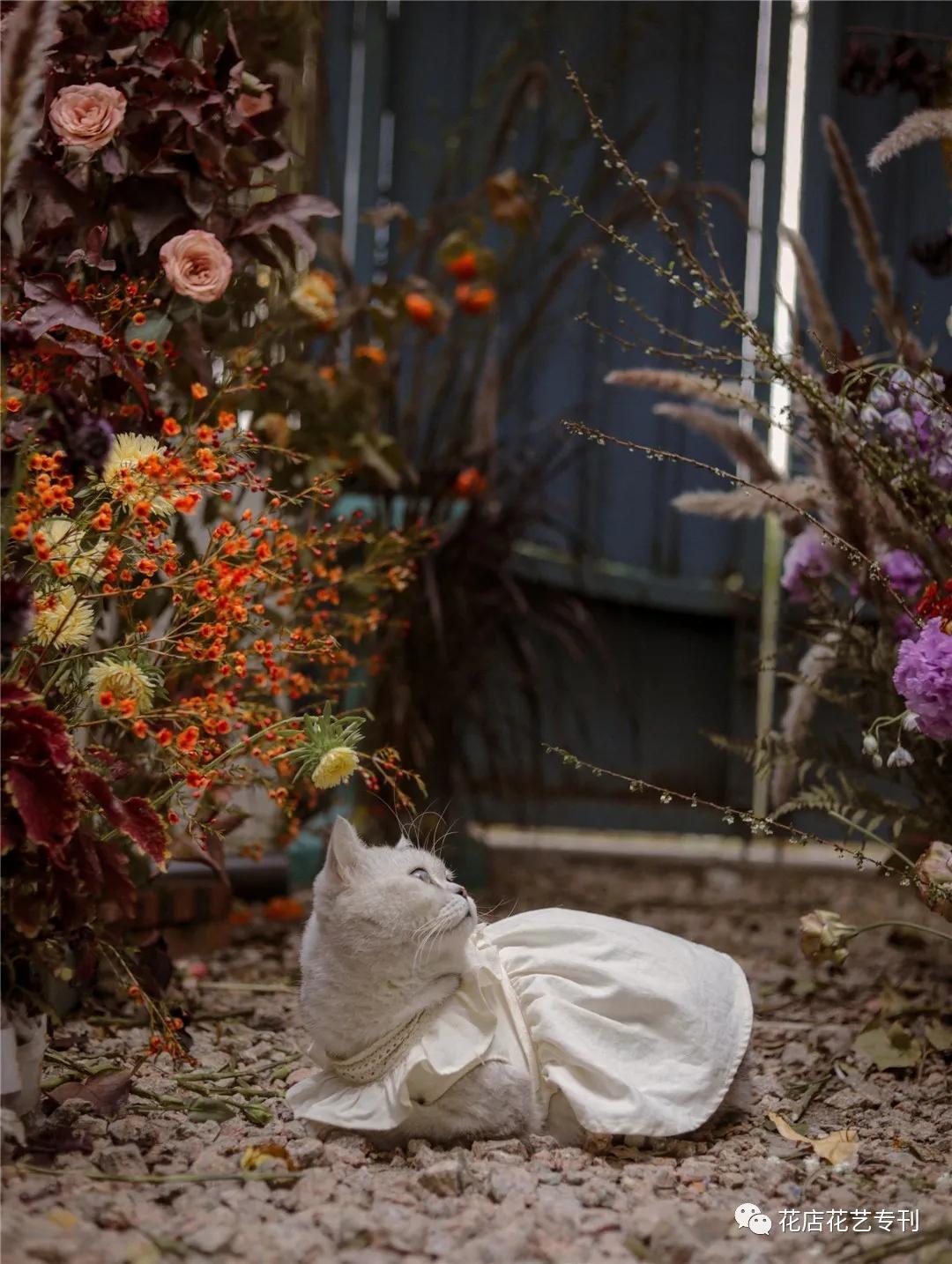 深圳TaleFlora：在花园里授课，做有灵魂的设计