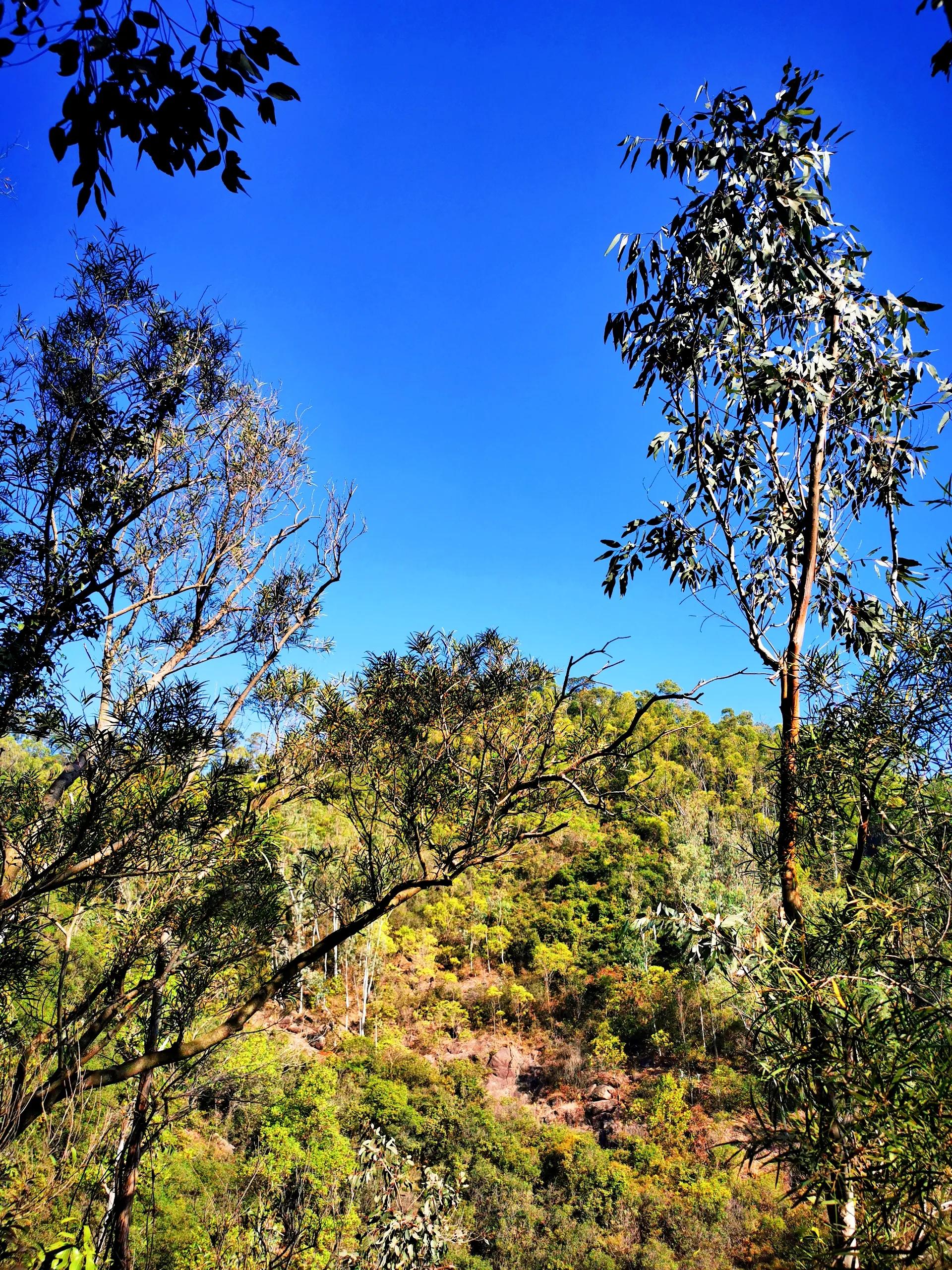 深圳公园山,远看深圳市南山公园