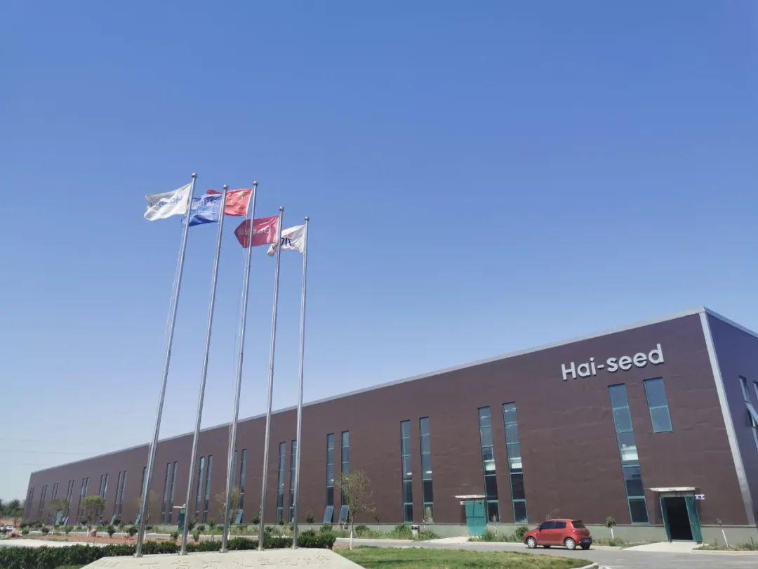 省媒绘声绘色,讲述复兴故事