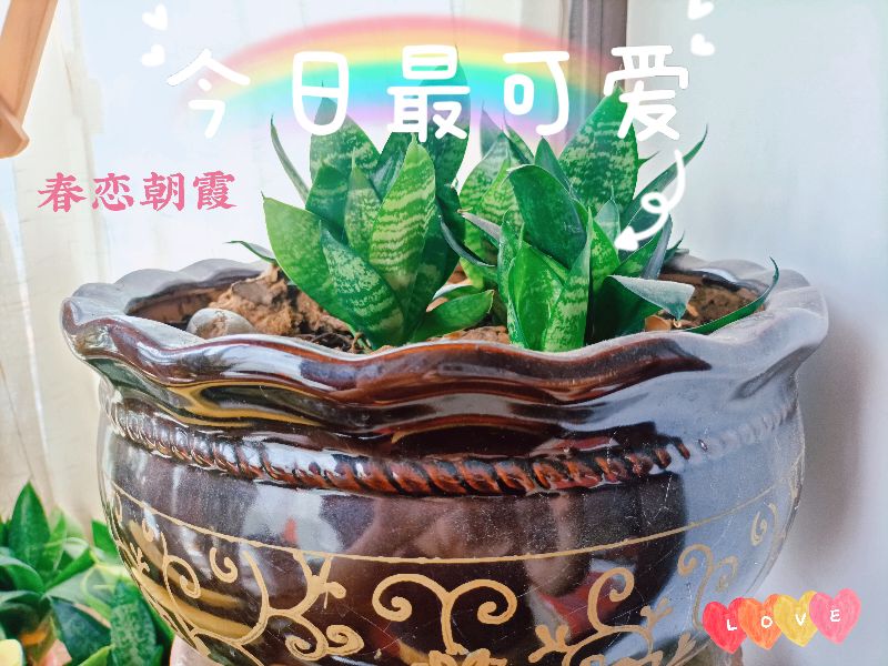 灼烫伤害应急处置方案,被烫伤后正确的做法是