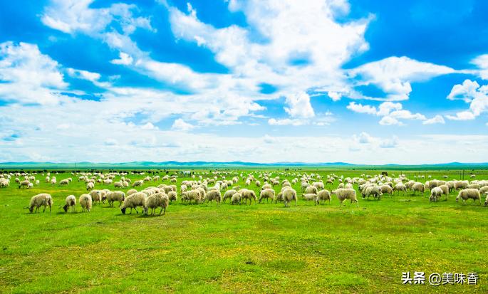 牛羊脱霉剂,牛羊用脱霉剂一个月用几次