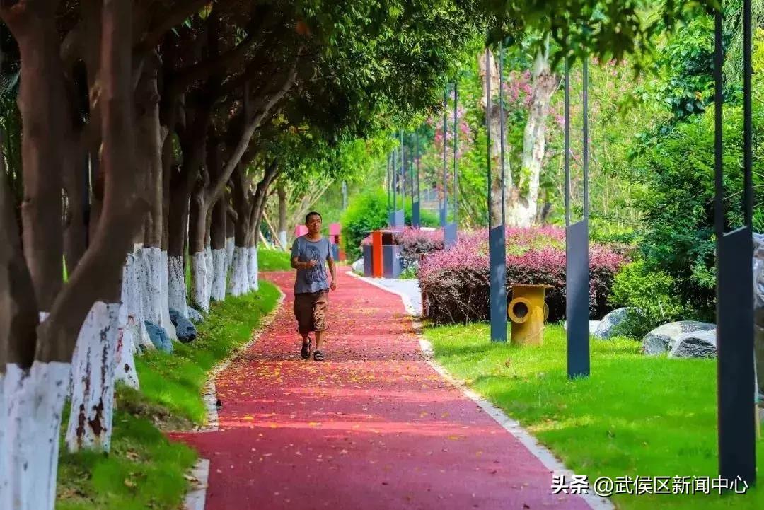 秋分是秋高气爽稻花飘香的季节,秋分秋实丹桂飘香