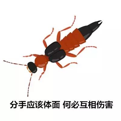 蚊虫叮咬后感染病毒几天有症状,蚊虫叮咬肿大了需要就医吗