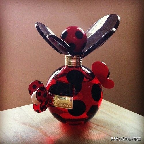 闻香识女人香水小样,女士香水选购攻略