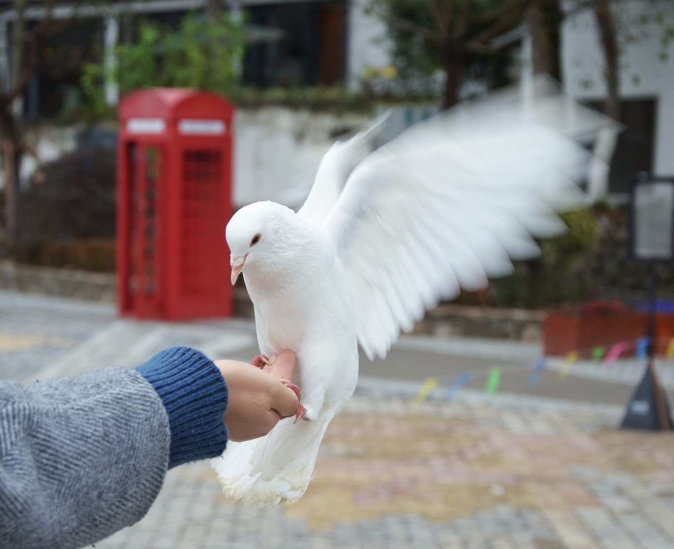 一座白楼，青山环绕，云卷雾舒～享受在莫干山野的娴静自由