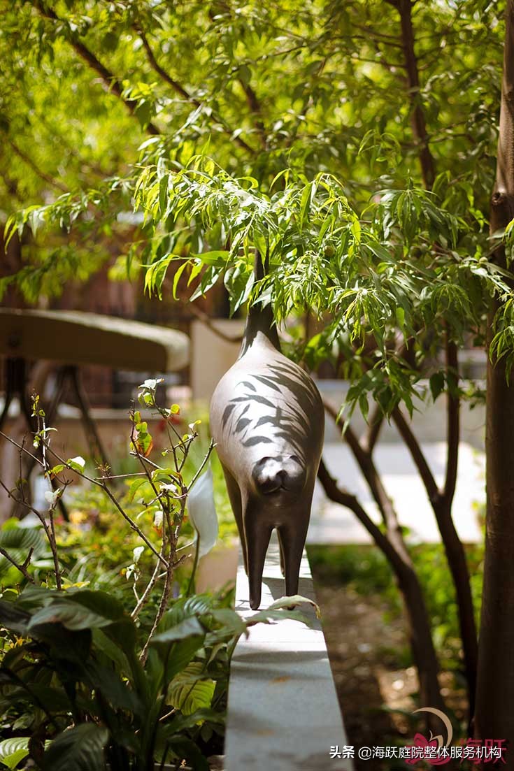 怎样建造自己的院子美观,庭院种植区该怎么设计