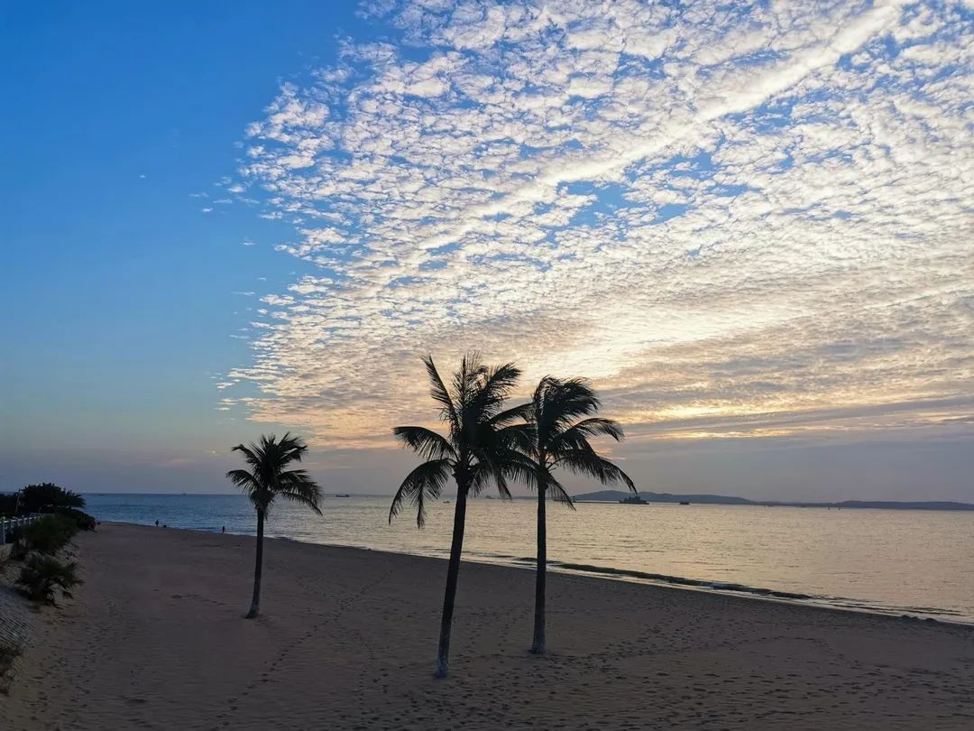 黄金海岸沙雕海洋乐园梦幻水世界,美爆了2019首届奇幻星空海洋馆