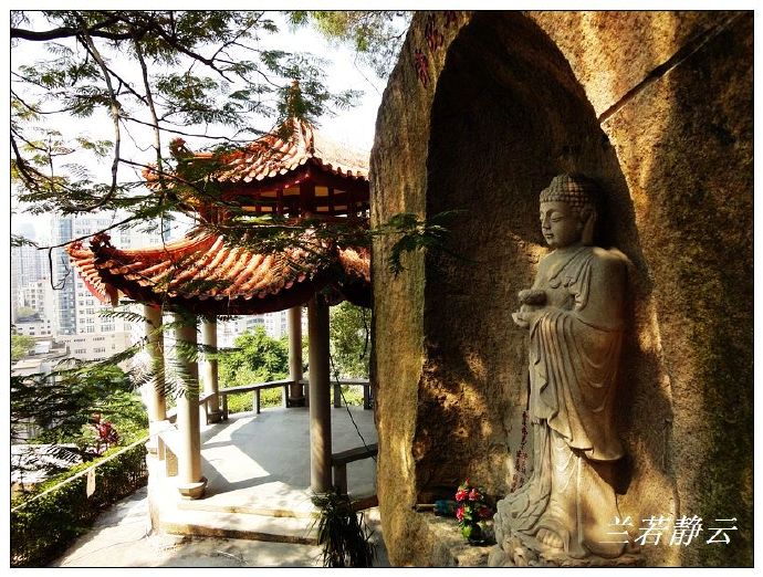 寻找厦门秋日的浪漫,寻找厦门最美风景