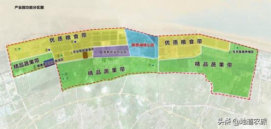 浙江慈溪现代农业产业园大胆创新改革,用人才带动发展