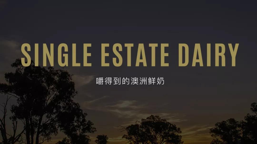 「嚼的到的鲜奶」澳洲SingleEstatedairy鲜奶，来自同一个牧场