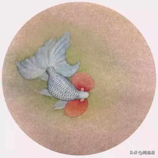 金鱼工笔画法图文教程你学会了吗,工笔画金鱼画法示范简单好学