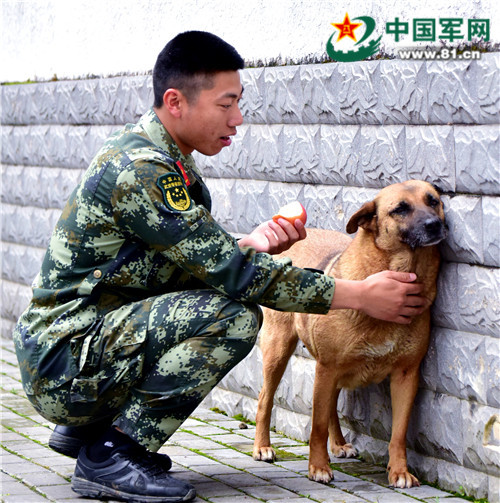 手机信号为什么可以无处不在,手机信号无服务无法连接网络