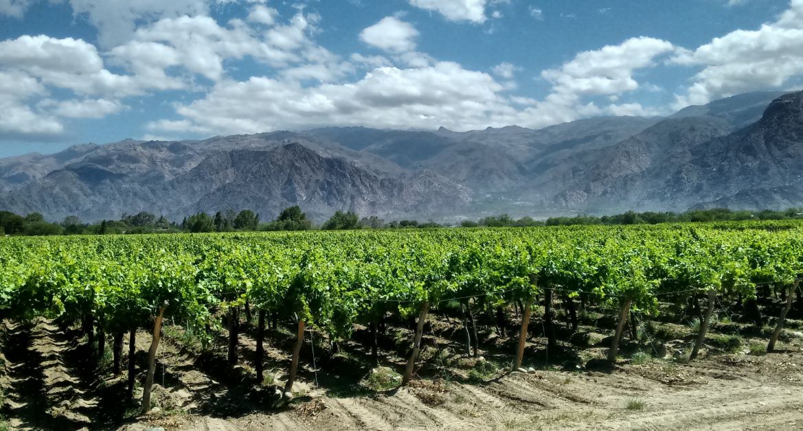 施华洛世奇有金首饰吗,施华洛世奇有白礼盒吗