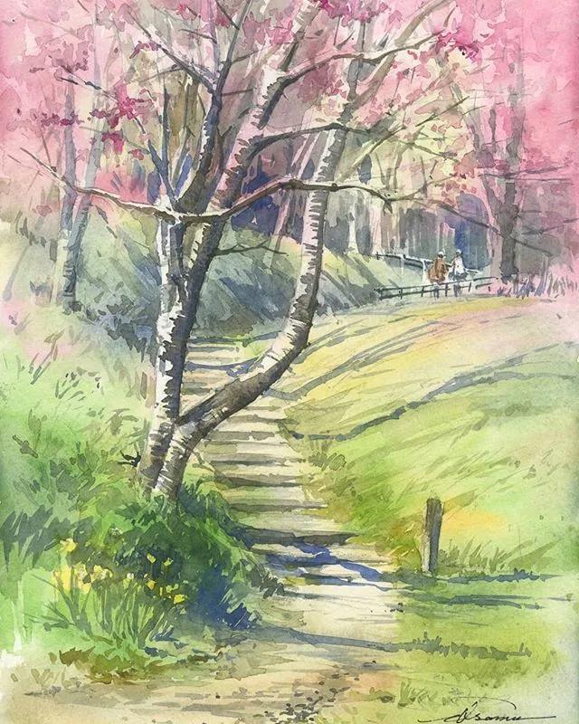 美丽的水彩樱花,水彩樱花风景画乡村田园