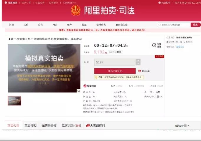 网上如何司法拍卖,网上司法拍卖技巧