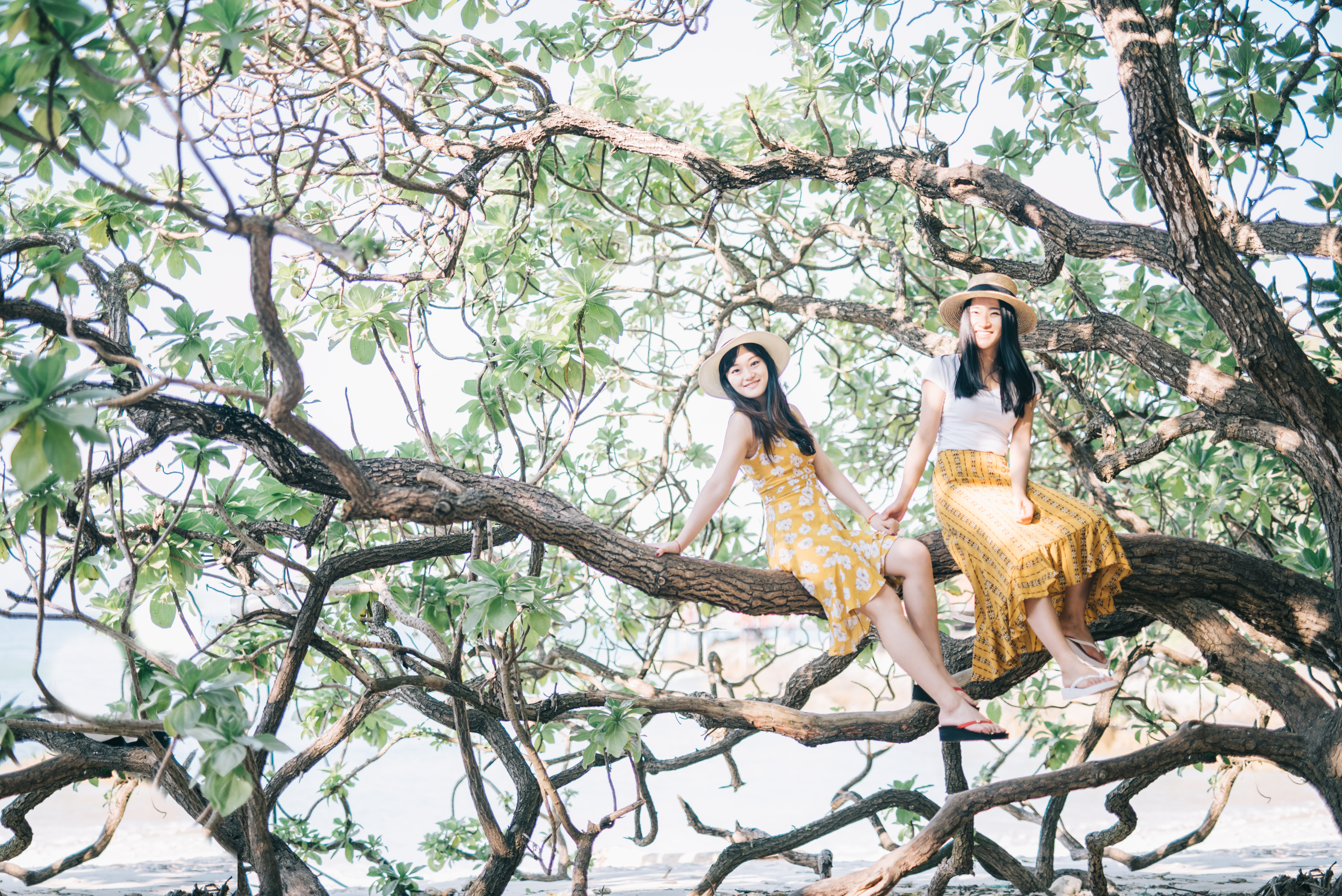 三亚解封了可以去三亚旅游吗,三亚旅游什么时候可以恢复