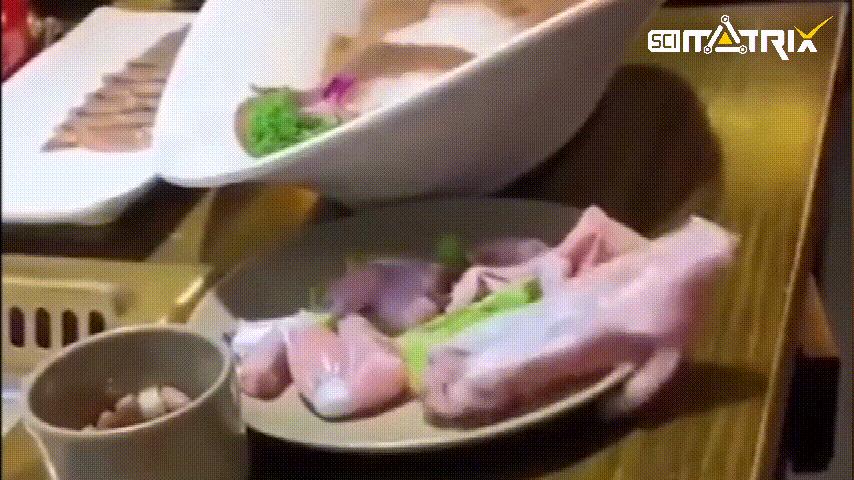 这虫子身体只剩空壳了，为什么还能四处乱爬？