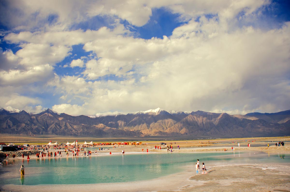 我的旅行日记之青海,我的旅行日记高原茶场