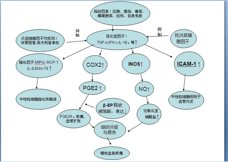 男科医疗对话,前列腺物理损伤