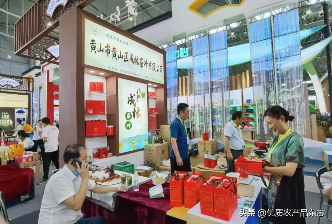 太平猴魁的渊源,百年太平猴魁