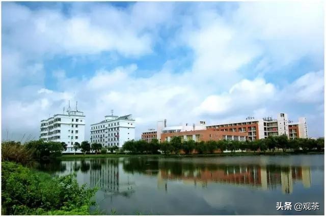 2020年后,为什么选择去珠海(教育篇)