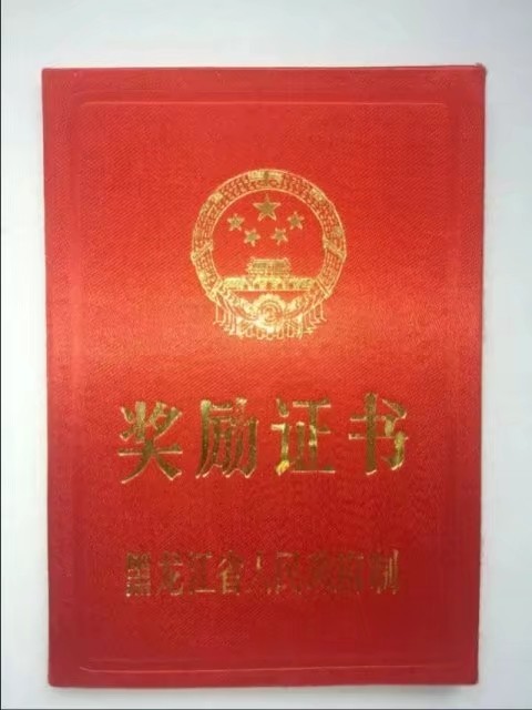 伊春林区往事,伊春林区往事1982年