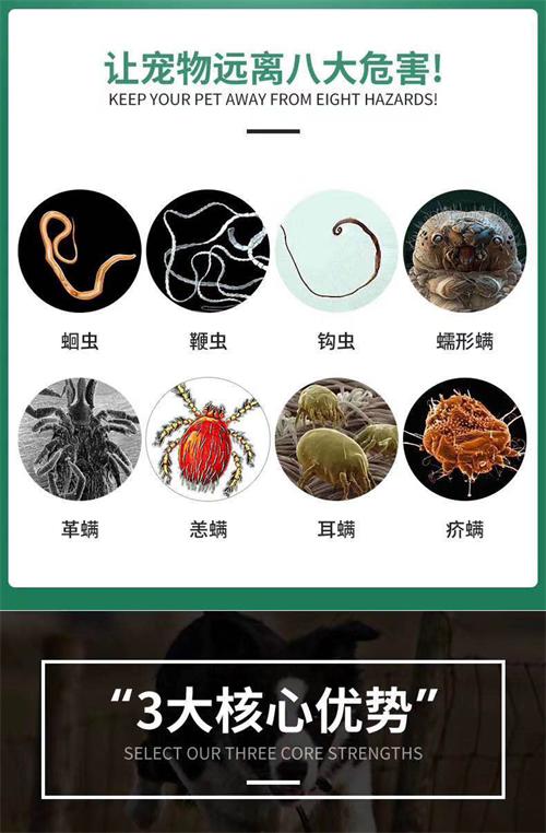 狗狗驱虫药怎么选？雷米高伊维菌素片助你一步到位