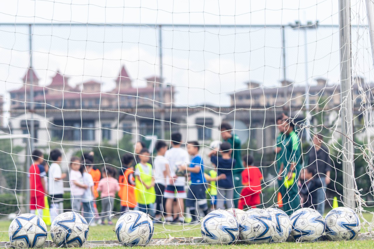 会员日记,会员记录日常生活