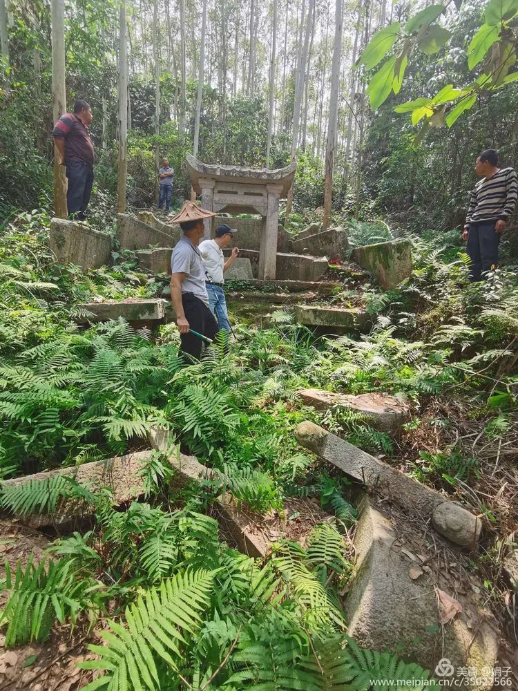 长泰县戴氏族谱,漳州市长泰县戴氏