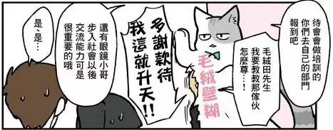 假如自己变成猫是什么体验,从人类变成猫是什么体验