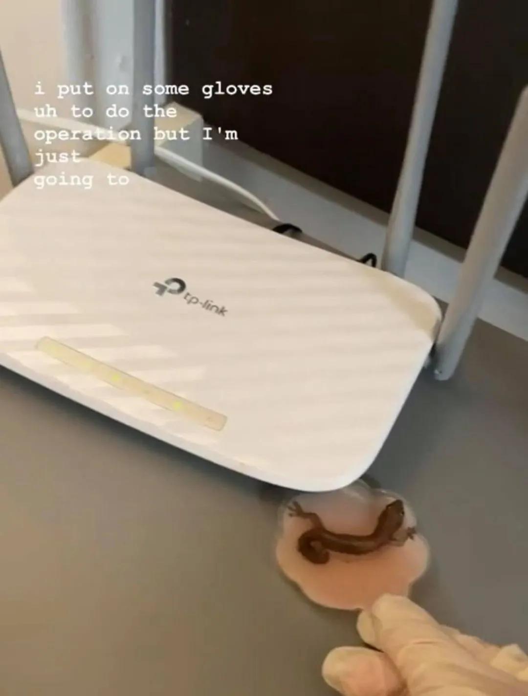 NTU一女生发现胸贴意外丢失，究竟是谁在作祟？