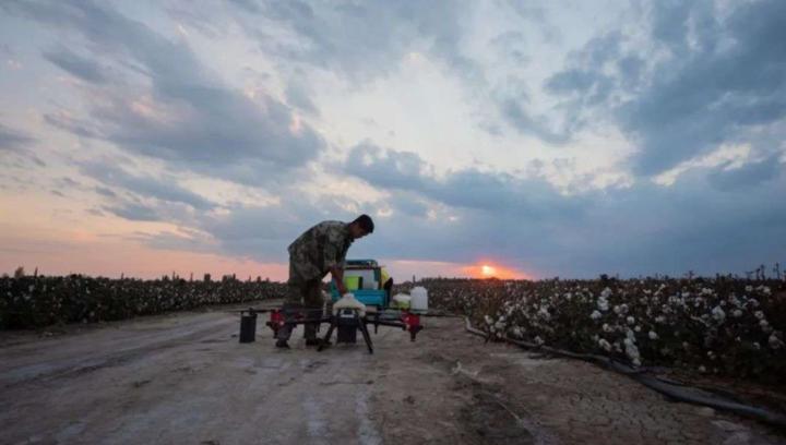 新疆棉花辟谣,辟谣新疆和田