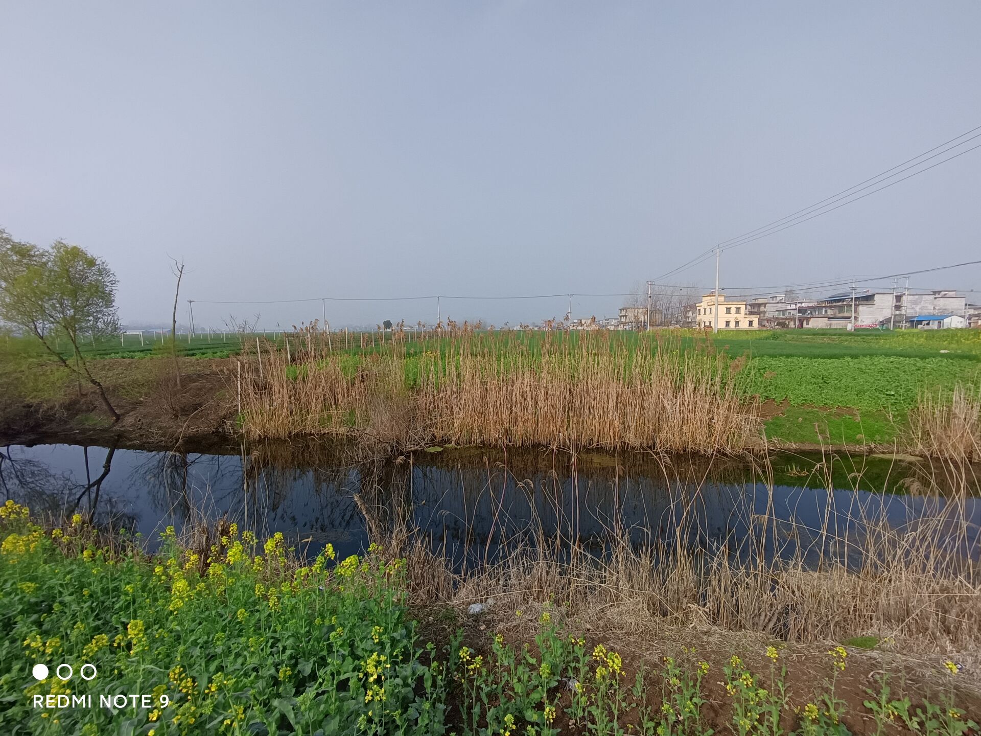 红米note95g版评测,红米note95g值得入手吗