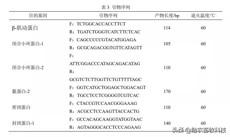 发酵饲料能提高多少吸收率,发酵饲料对猪有没有好处