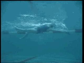 自由泳滚翻转身蹬壁,前滚翻动作练习方法步骤