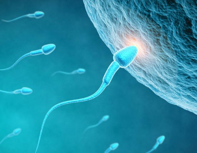 打破男女的刻板印象,打破男女固有形象