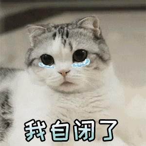 N1满分,日语考级n1书籍